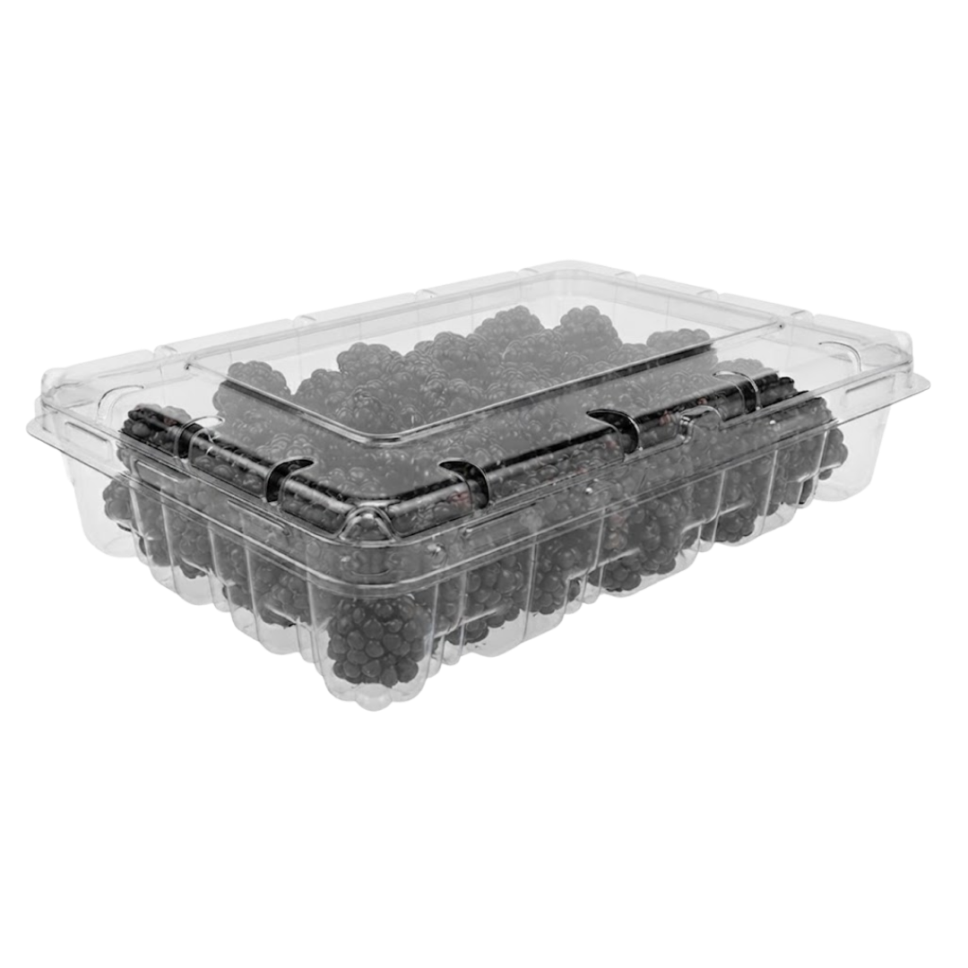 Clamshell Berries 11 oz HV