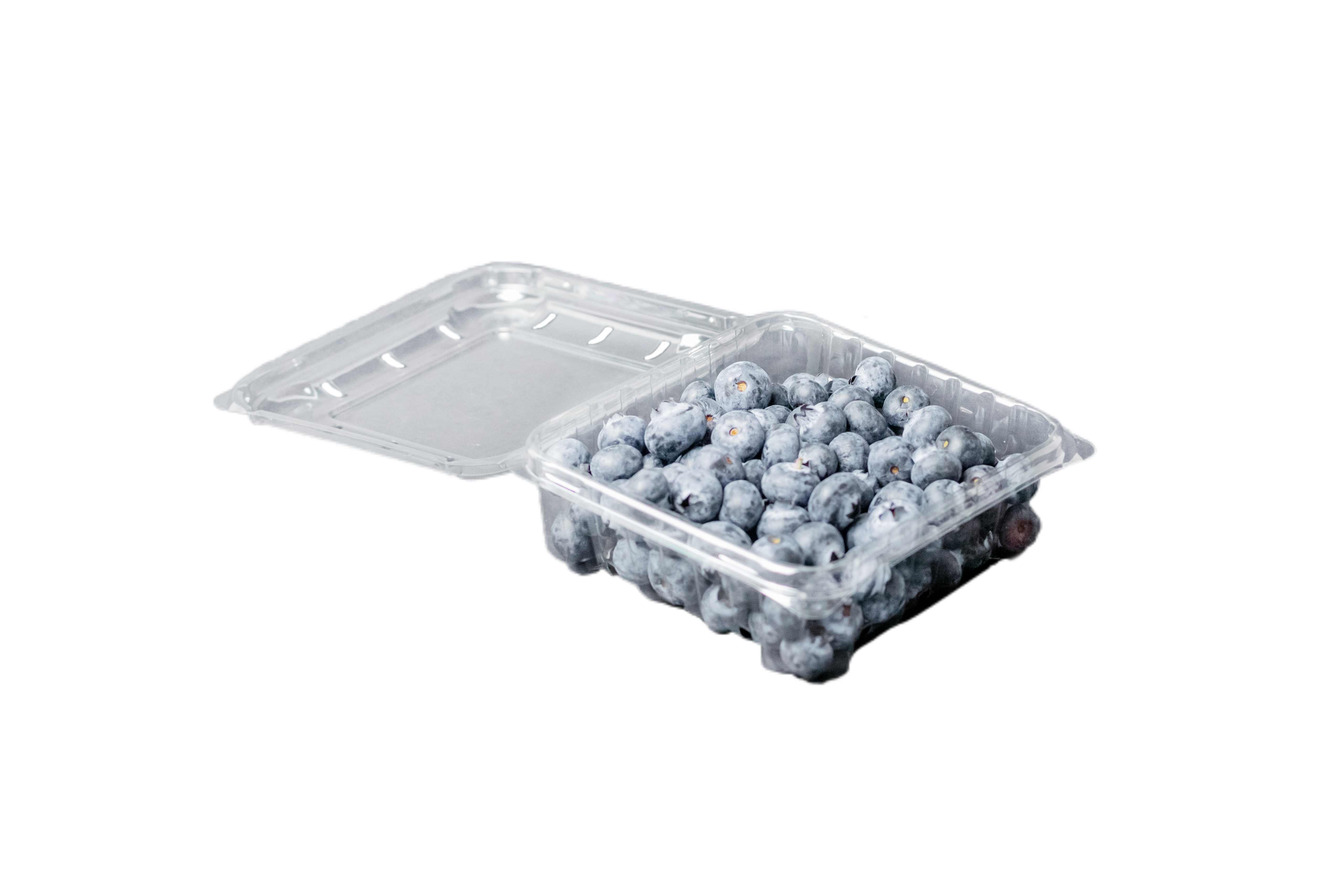 Clamshell 4.4 onzas Arándano