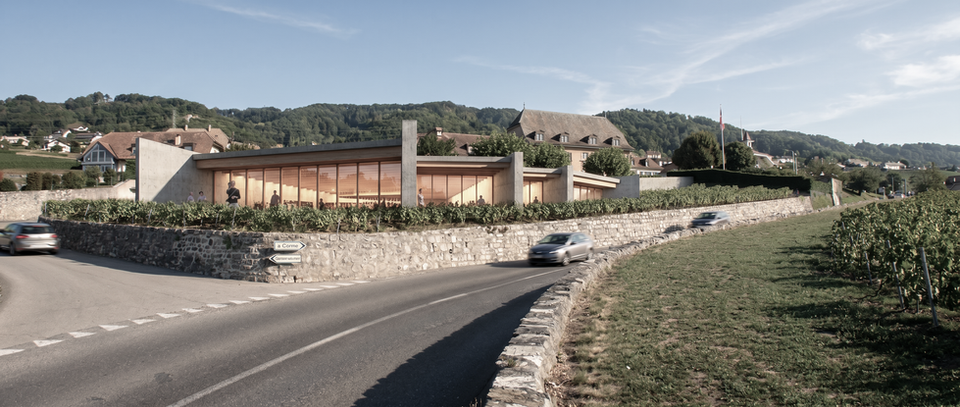 Concours | Maison des vins de la côte