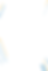 Fundo.png