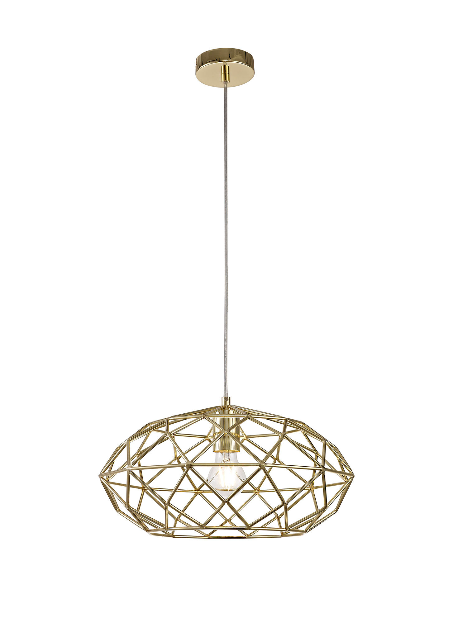 Cage 1 Light Polished Brass Pendant