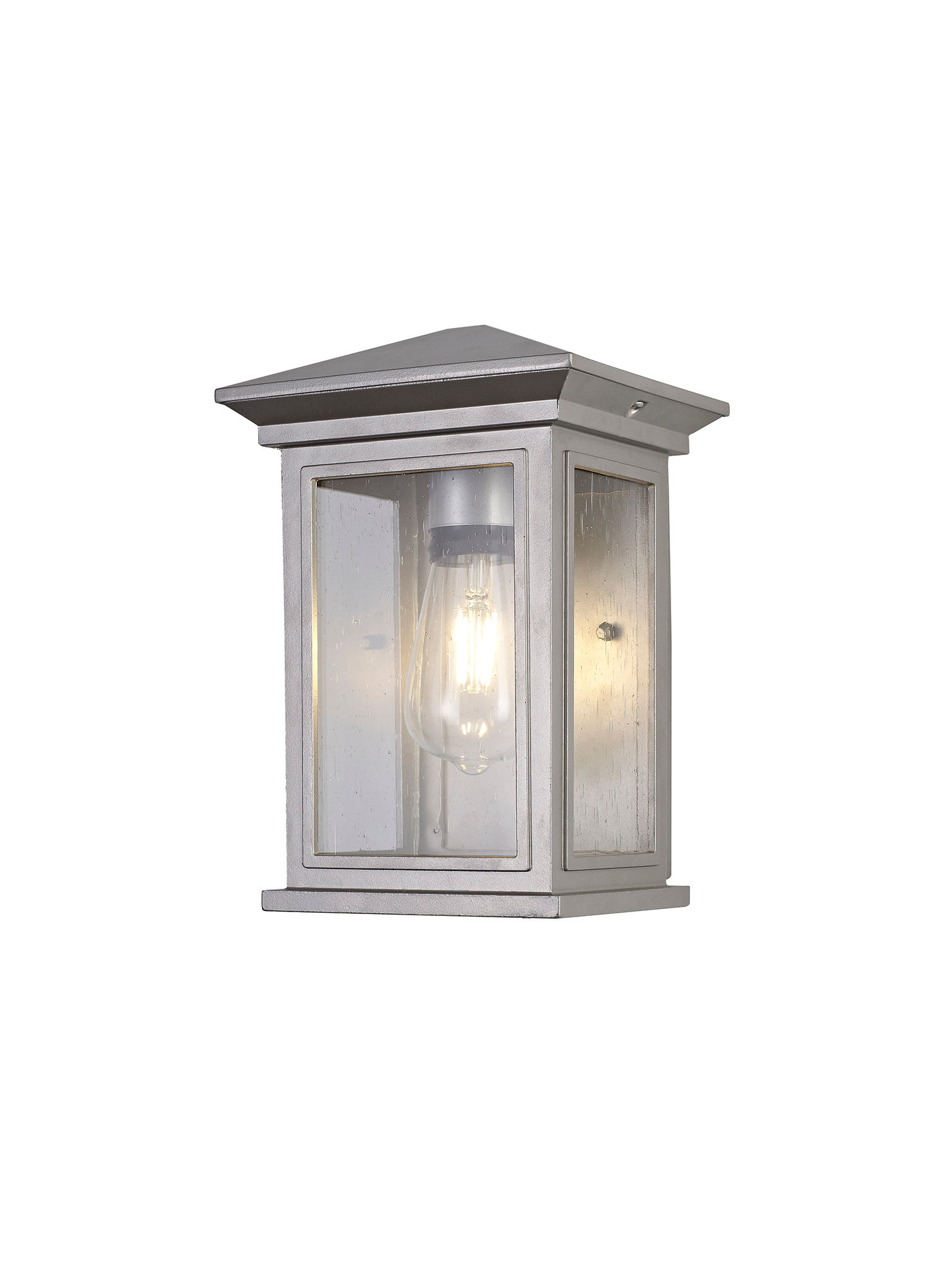 Martin Silver Outdoor Wall Light