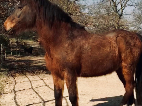 Les nouvelles de Mars 2019
