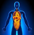 web - specialist internal med.jpeg