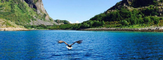 Lofoten: un paradiso da non perdere