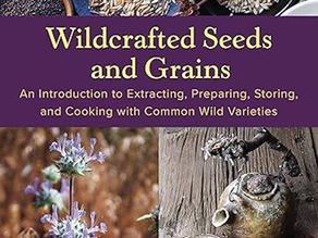 Wildcrafting Seeds and Grains, by Pascal Bauder