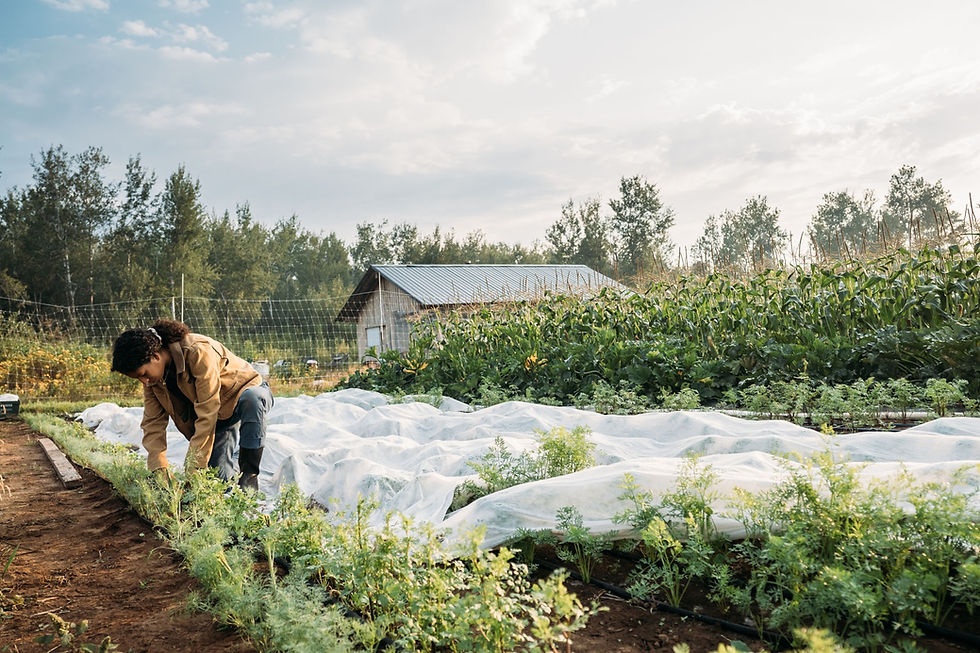 Farming at Wolf Ridge Organic Farm in MN, 2021_Lhittmeier-54 copy 2.jpg