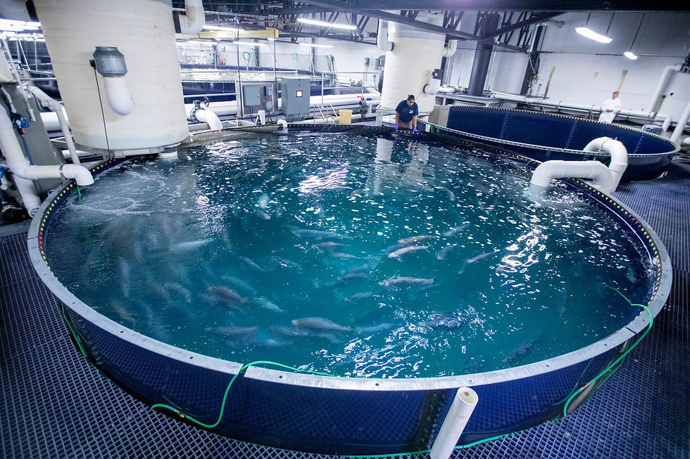 Inside Hudson Valley Fisheries
