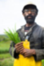 Kyle Ellis holding garlic chives