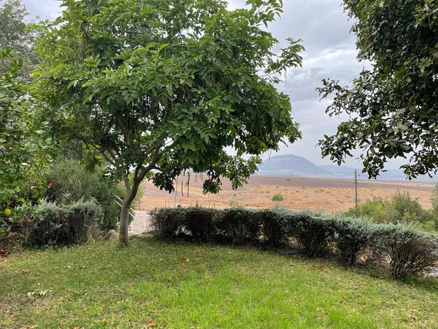 WhatsApp Image 2023-07-18 at 11.43.47.jpeg