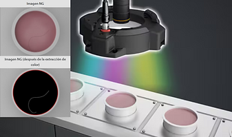 Sin título (1080 x 823 px) (46).png