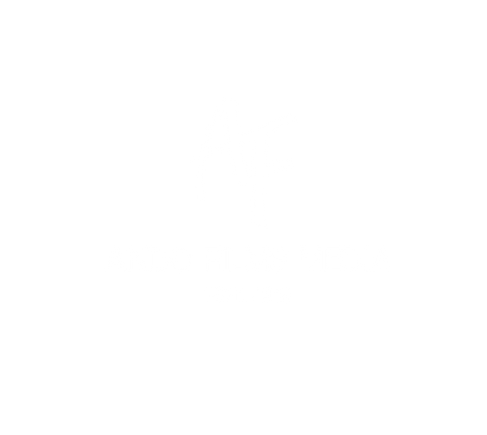 ANDO Films Media 2018.png