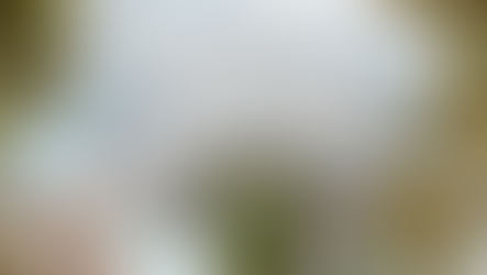 Singapore Green Plan 2030: Navigating Changes among Workplaces