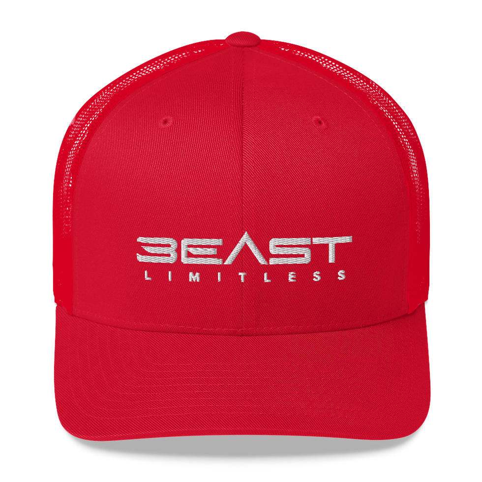 Миниатюра: BEAST Limitless Trucker Cap