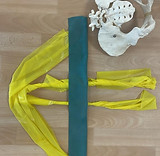 Foto Becken mit Theraband_edited_edited_