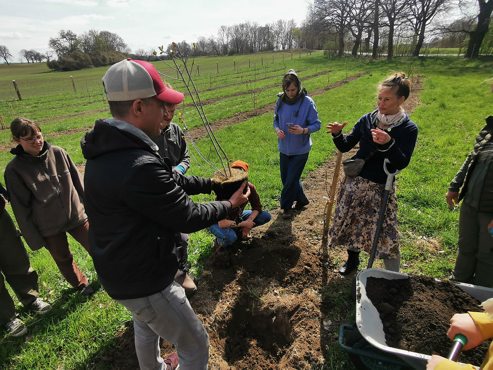 Exkursion nach Schmiedeberg inkl. Pflanzaktion von Aronia beim Landgut Haagen (© Jennifer Jekal)