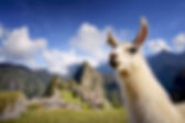 Macchu Picchu Peru