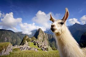 Macchu Picchu Peru