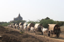 Bagan-4