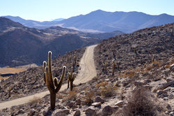 AdobeStock_138785711