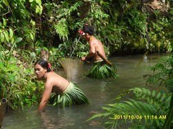 Mentawai Tribe Looking for Fresh Fish 2