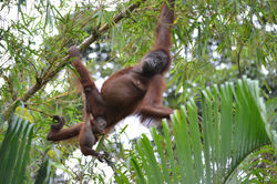 5774805737_f4c5c18c83_o