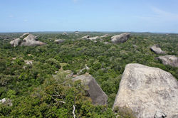 Kumana_National_Park_(Kudumbigala_Sanctuary)