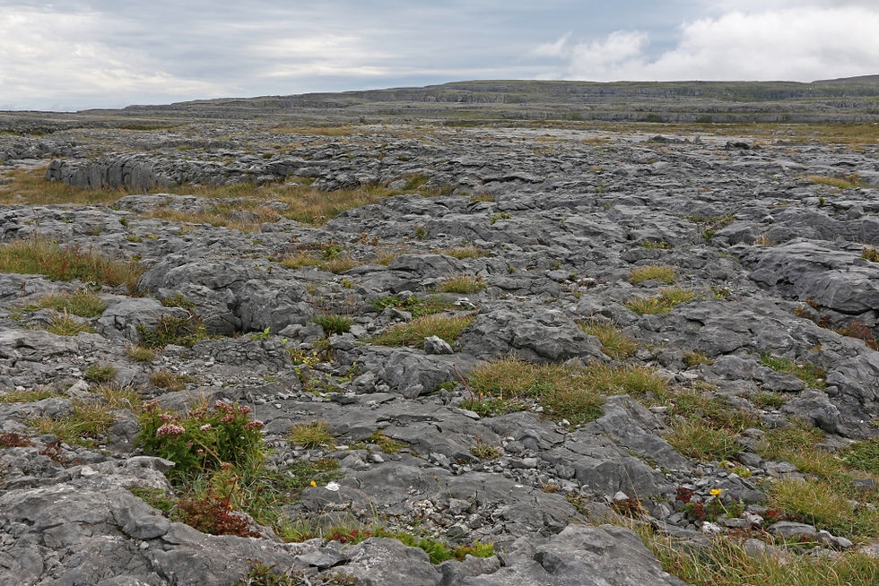 Typische Landschaft im Burren