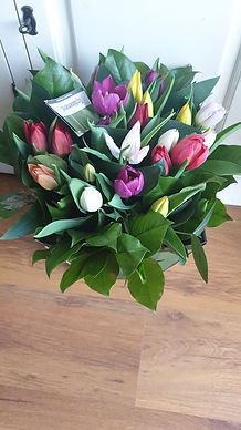 IMG-20190401-WA0013.jpeg