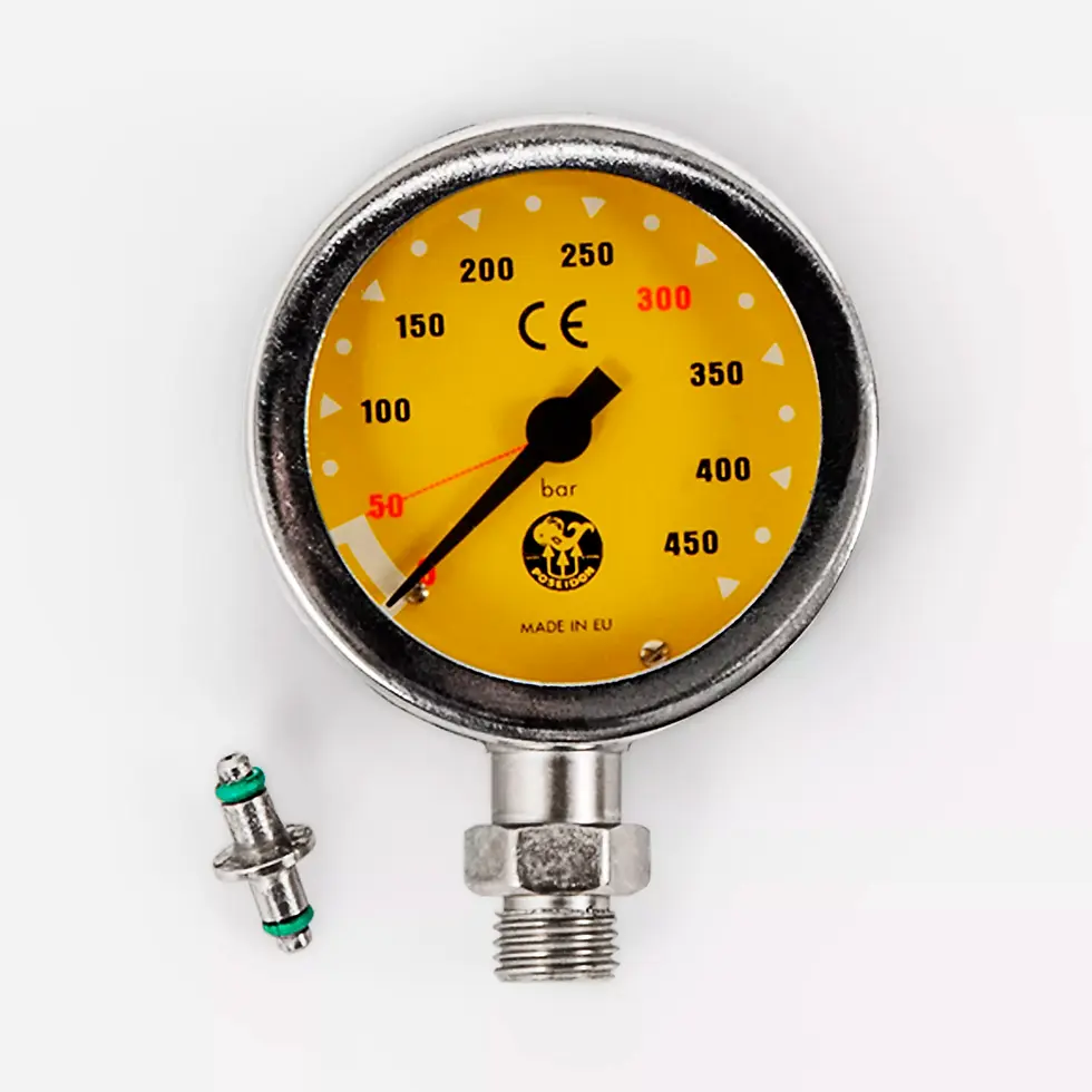 Thumbnail: POSEIDON PRESSURE GAUGE CIRRUS