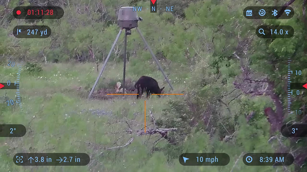 Thumbnail: ATN X-SIGHT II 4K PRO 5-20X