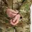 Thumbnail: OUTDOOR RESEARCH ALLIES MOUNTAIN JACKET MULTICAM
