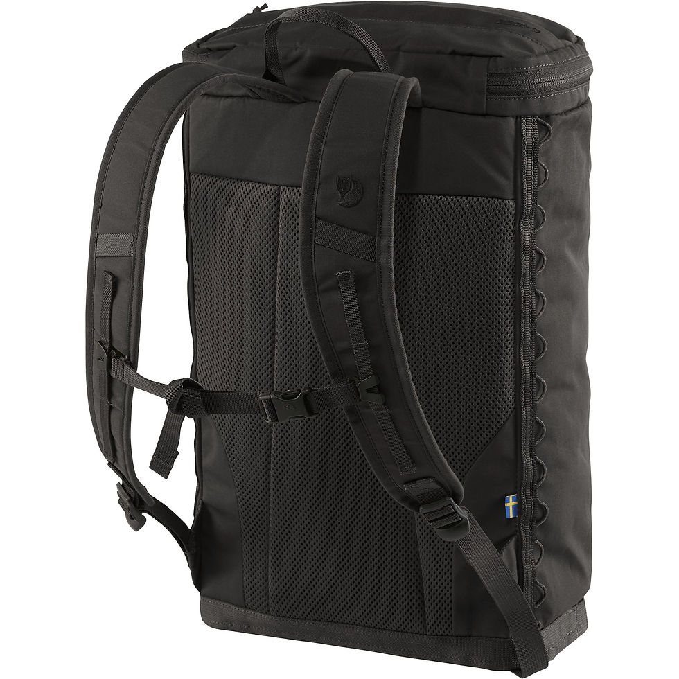 Thumbnail: FJÄLLRÄVEN SINGI 20