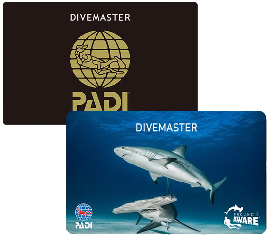 PADI DIVEMASTER