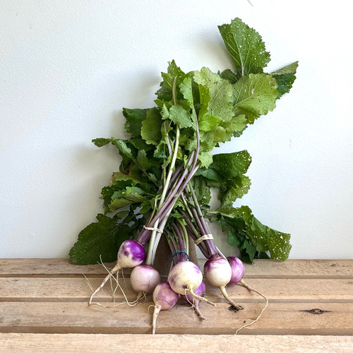 Purple Top Turnips Killeenfarm