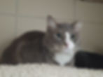 att.q_mdkupuUe8oYv_-V8V5Xh0WB_bXo7onDlth5ZRbFaQ.dat.jpeg