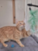 att.lN_esvCQJzPAT4wbYpVunyZFYw3yo1VUgukQbgb5H-I.dat.jpeg