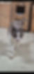 IMG_1028.PNG