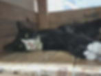att.WYH2Prl-6tbAbI-aS6r7O_KAOVvXUNTAea5TyWr_d4U.dat.jpeg