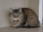 att.aRhu2CATFpfXdEzN4dGXwuEeBXh0nVRZM-pwhGepWI8.dat.jpg