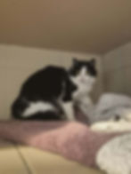 att.E1xdjqy-aEbPlObQf6YK2X6zRgSH9XhJBwy2ArMMEq0.dat.jpeg
