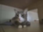att.6_66SO-WabU5u4VaP9C_tF-3ivwkUpRsL1hXBXYteVw.dat.jpeg