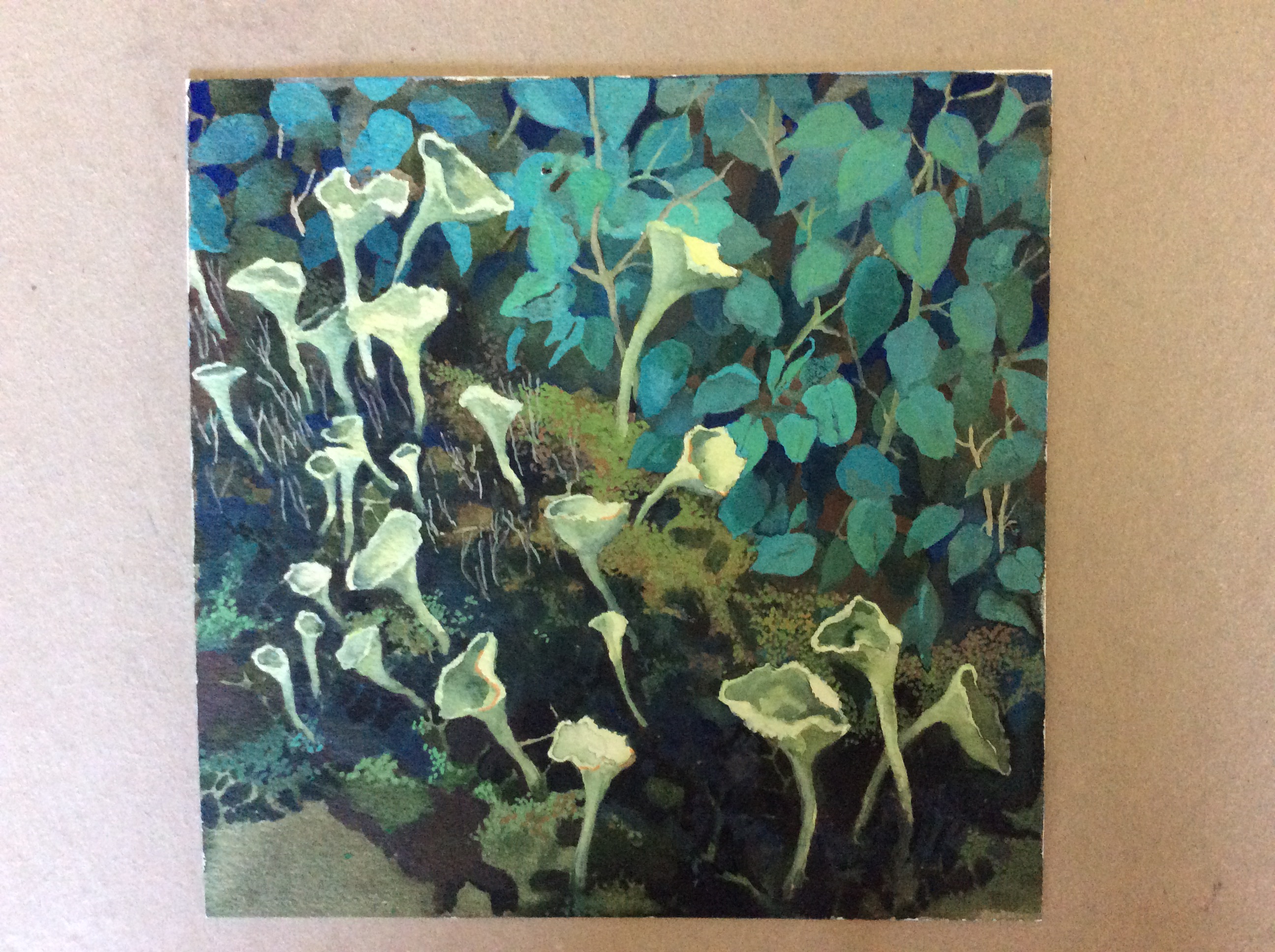 Jenny Young