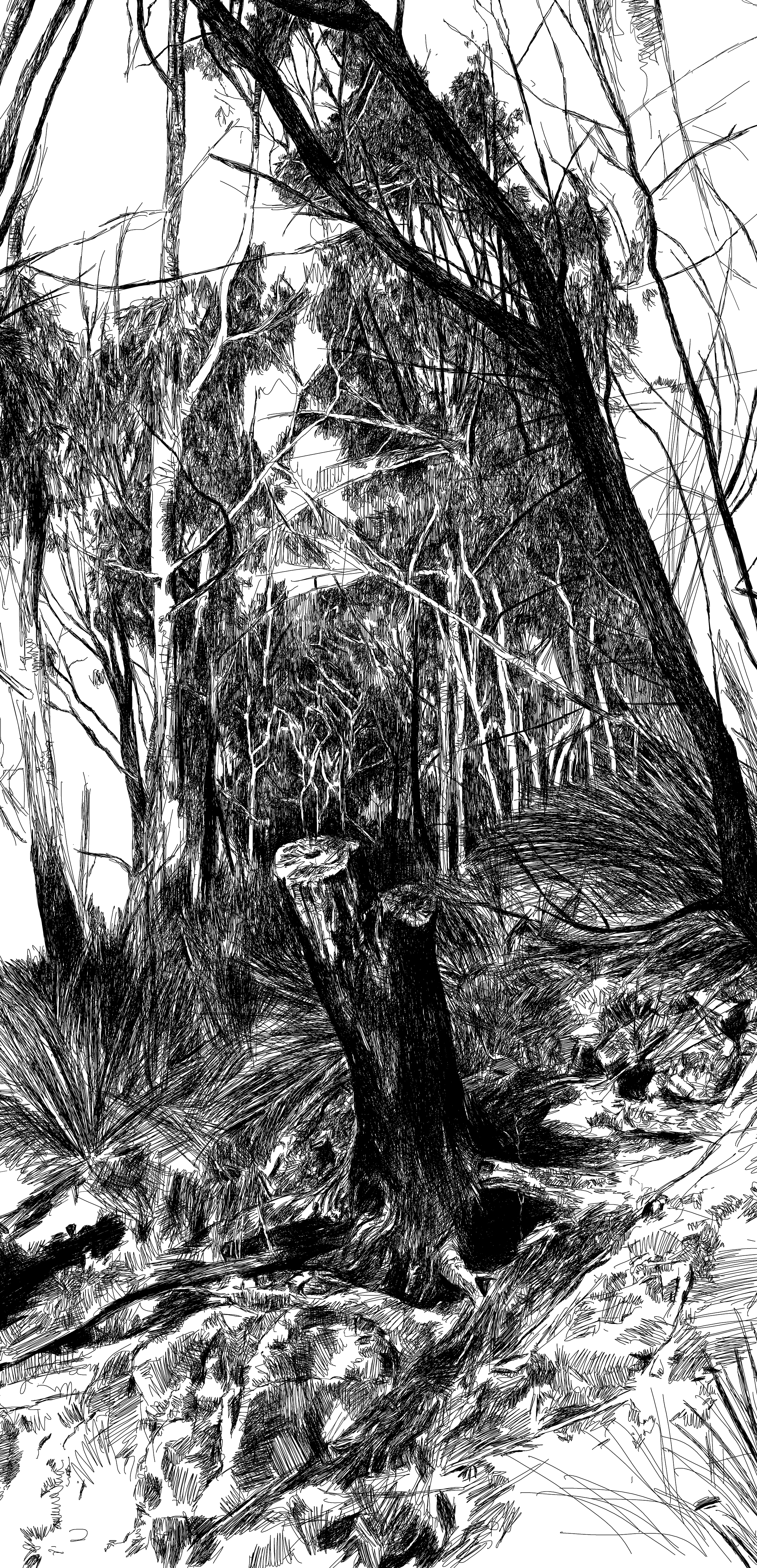 Russell Joyce