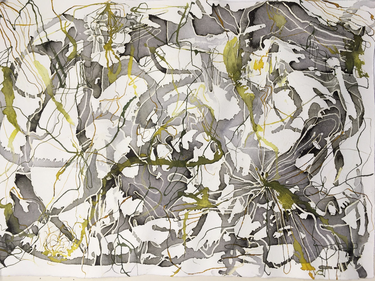 Linda Crispin