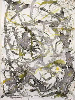 Linda Crispin
