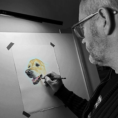 Alistair Dunlop at his drawing desk, drawing a golden retriever