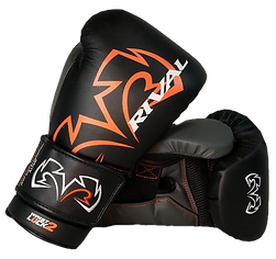 RS11V-BLACK_large_edited.png