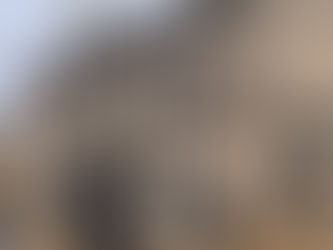 Laptops, Luggage & Leashes: British Chinwags