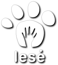 Schronisko Lese